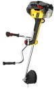 GDCBT51